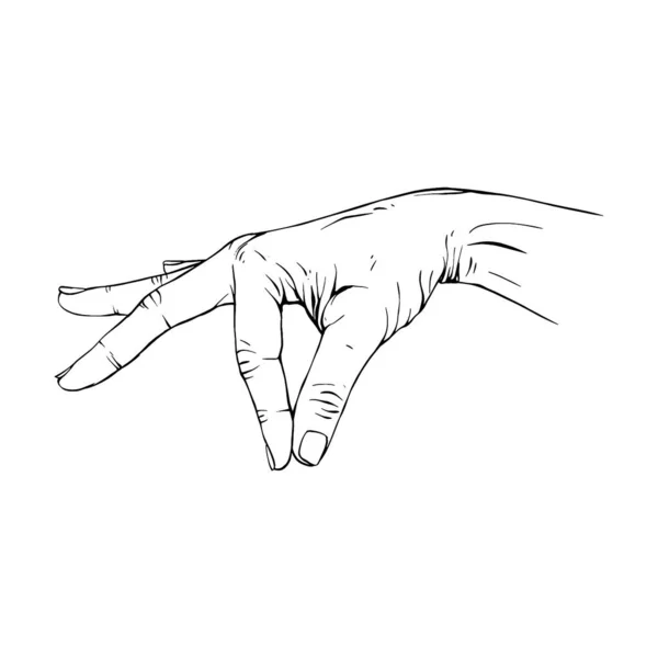 Mão Desenhado Gesto Esboço Vetor Ilustração Linha Arte —  Vetores de Stock