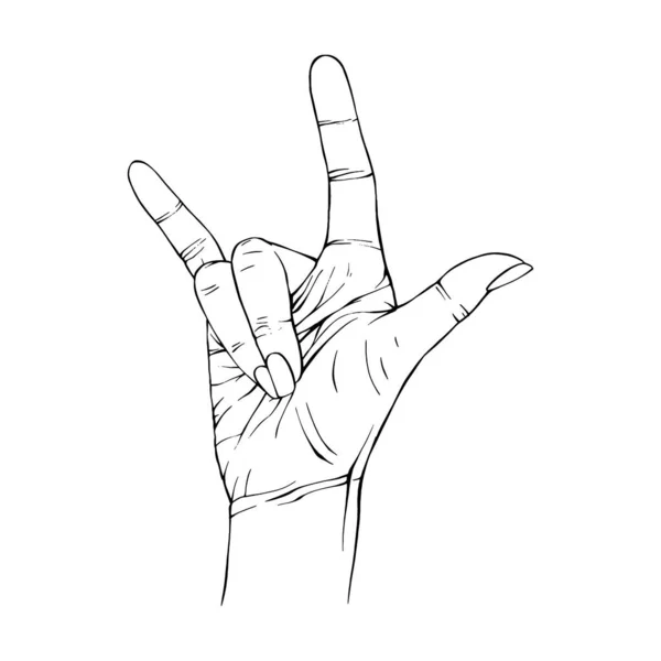 Hand Drawn Gesture Sketch Vector Illustration Line Art — Stock Vector