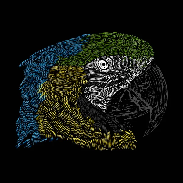 Illustration Croquis Aras Bleu Dessin Grunge Vecteur Contour Animal — Image vectorielle