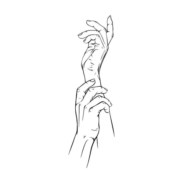 Två Hand Dras Gest Skiss Vektor Illustration Linje Konst — Stock vektor