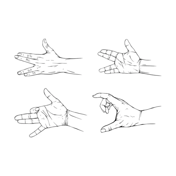 Set Hand Collection Drawn Gesture Sketch Vector Illustration Line Art — Stock Vector