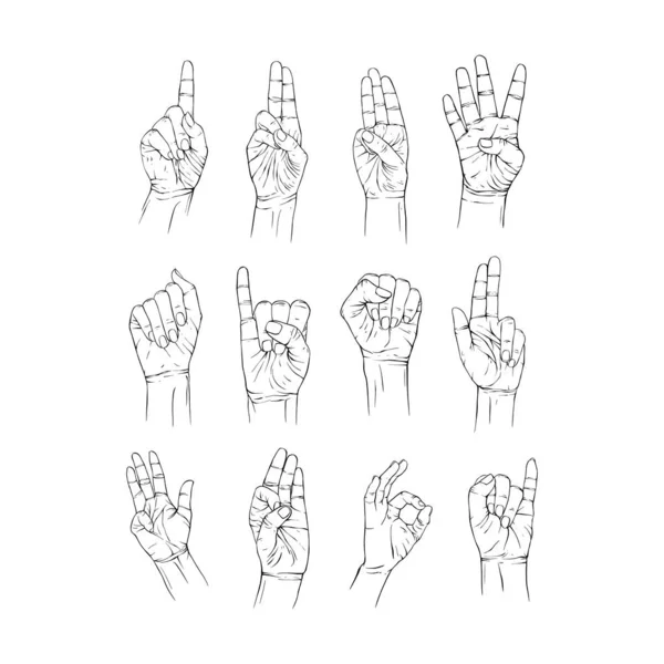 Set Anzahl Hand Sammlung Gezeichnet Geste Skizze Vektor Illustration Linie — Stockvektor