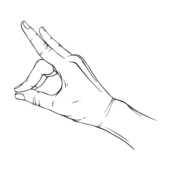 Handritad Gest Skiss Vektor Illustration Linje Konst — Stock vektor