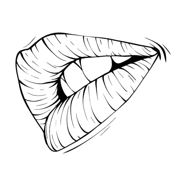 Mouth Lips Sketch Vector Illustration Line Art — Stock Vector