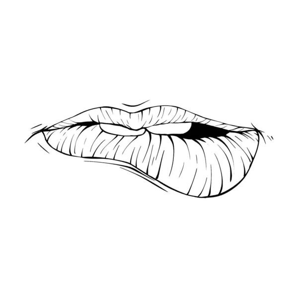 Bouche Lèvres Croquis Vectoriel Illustration Ligne Art — Image vectorielle