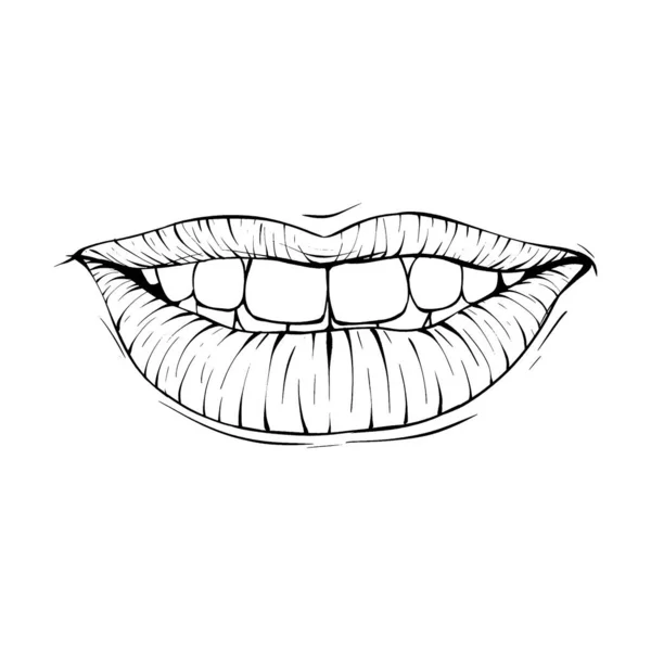 Mulut Lip Sketch Vector Gambar Garis Seni - Stok Vektor