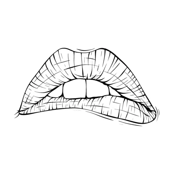 Bouche Lèvres Croquis Vectoriel Illustration Ligne Art — Image vectorielle