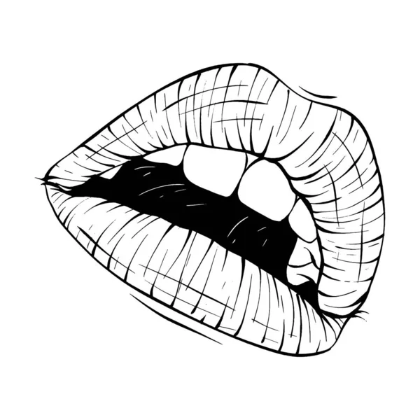Mund Lippen Skizze Vektor Illustration Linie Kunst — Stockvektor