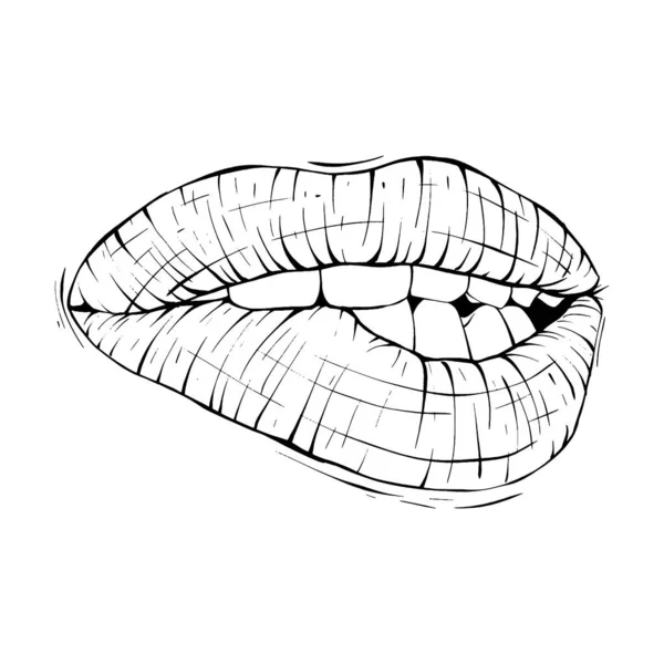 Mouth Lips Sketch Vector Illustration Line Art — Stock Vector