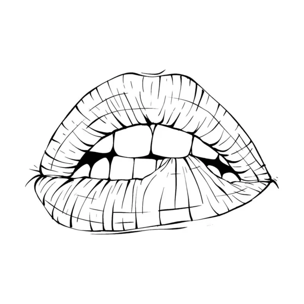 Mund Lippen Skizze Vektor Illustration Linie Kunst — Stockvektor