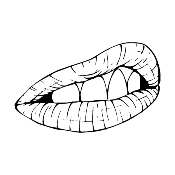 Mulut Lip Sketch Vector Gambar Garis Seni - Stok Vektor