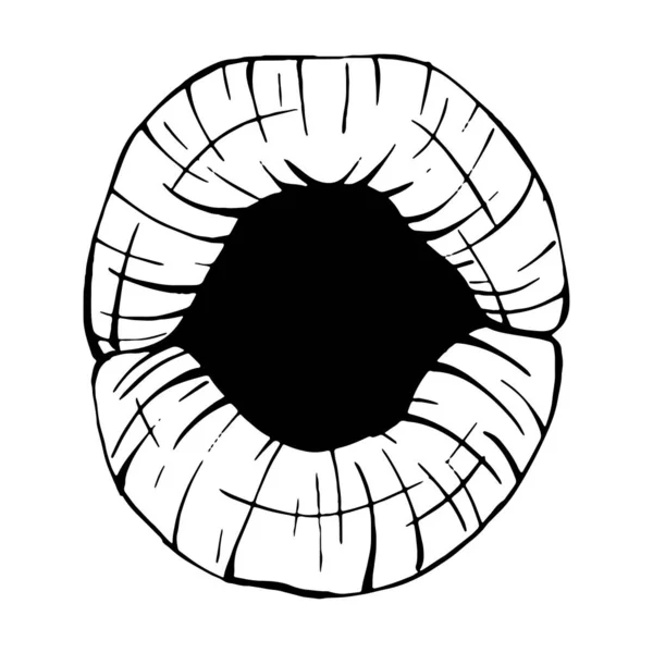 Полость Рта Векторный Рисунок Губ — стоковый вектор