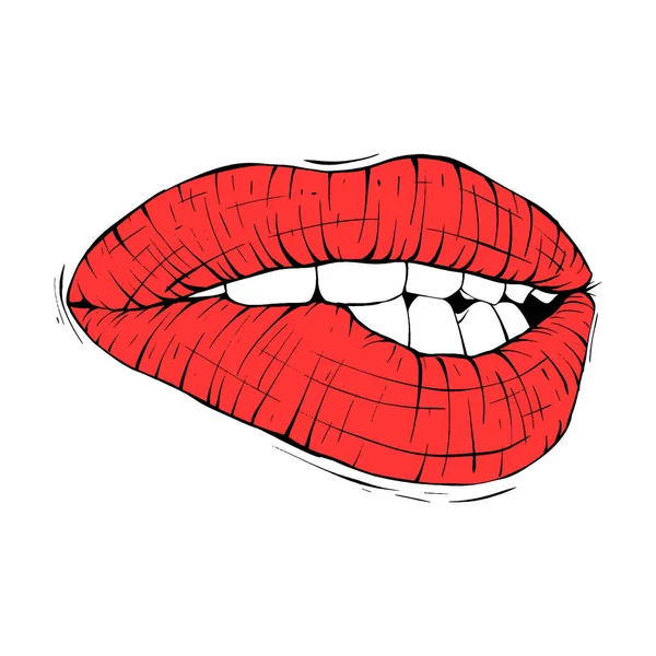 Wanita Merah Bibir Sketsa Vektor Gambar Garis Gambar - Stok Vektor