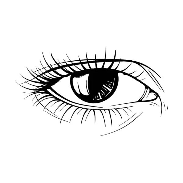 美しい手描きスケッチ女性の目ベクトルイラストラインアート — ストックベクタ