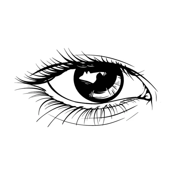 Schöne Handgezeichnete Skizze Weiblicher Augenvektor Illustration Linie Kunst — Stockvektor