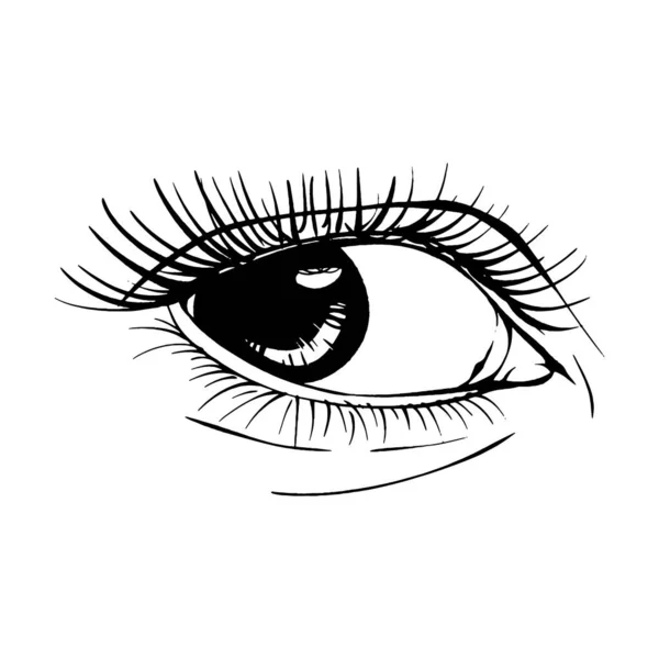Krásná Ručně Kreslený Náčrt Ženské Oko Vektor Ilustrace Čára Umění — Stockový vektor