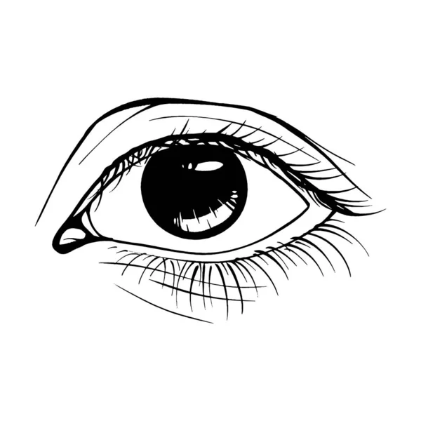 美丽的手绘草图女性眼睛矢量画线艺术 — 图库矢量图片