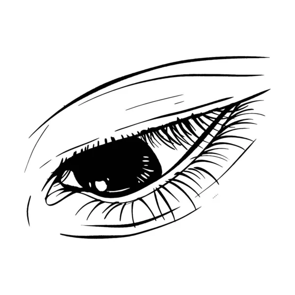Bonita Mão Desenhado Esboço Fêmea Olho Vetor Ilustração Linha Arte — Vetor de Stock