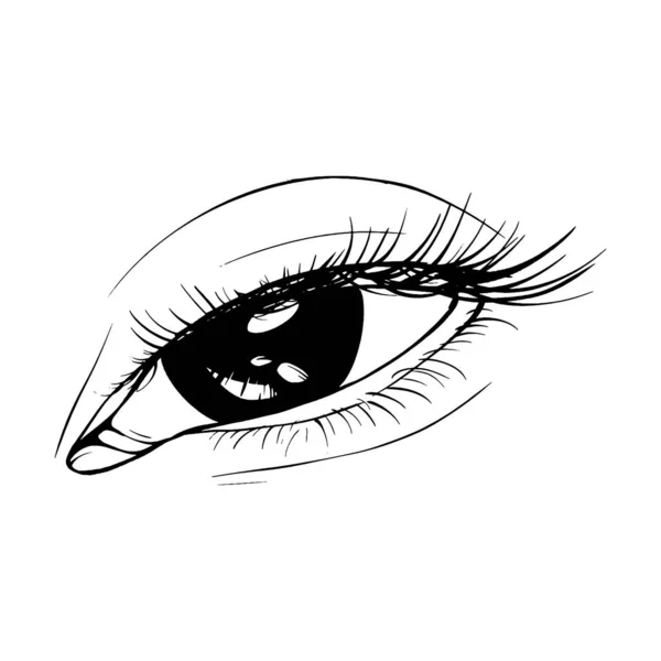 Bonita Mão Desenhado Esboço Fêmea Olho Vetor Ilustração Linha Arte —  Vetores de Stock