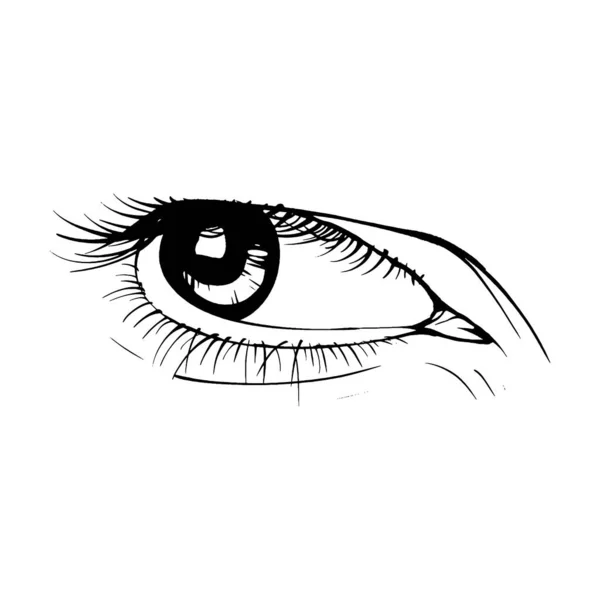 Krásná Ručně Kreslený Náčrt Ženské Oko Vektor Ilustrace Čára Umění — Stockový vektor