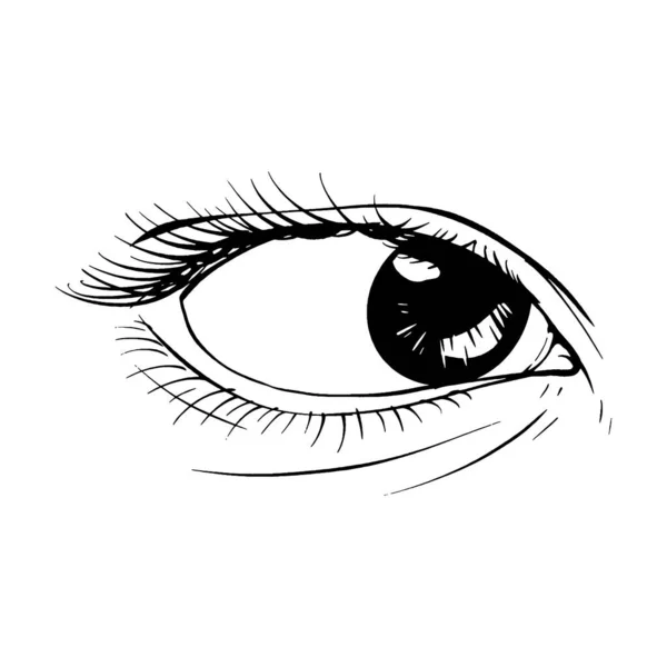 Bonita Mão Desenhado Esboço Fêmea Olho Vetor Ilustração Linha Arte —  Vetores de Stock