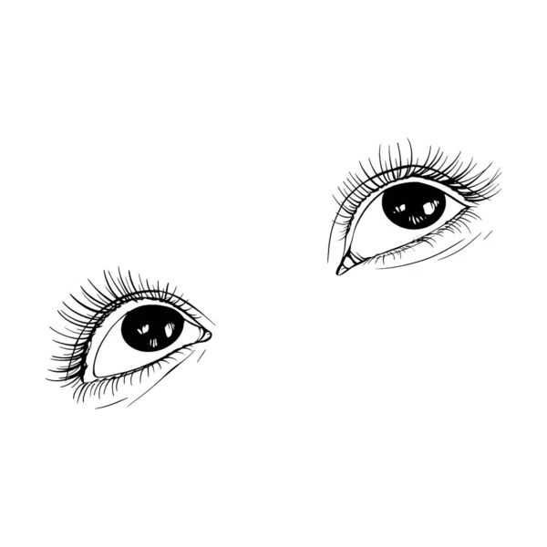 Schöne Handgezeichnete Skizze Weibliche Augen Vektor Illustration Linie Kunst — Stockvektor