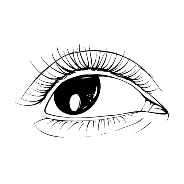 Beautiful Hand Drawn Sketch Female Eye Vector Illustration Line Art — Stock Vector
