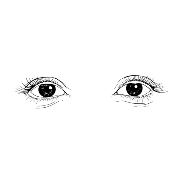 Красивый Ручной Рисунок Эскиз Женские Глаза Векторные Иллюстрации Линии Искусства — стоковый вектор