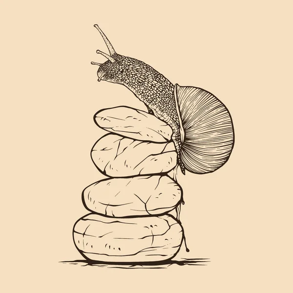 Σαλιγκάρι Βράχο Ζωγραφισμένο Εσοδεία Γραμμή Χαρακτικής Στυλ Εικονογράφηση Διανύσματος — Διανυσματικό Αρχείο