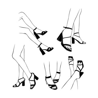 Yüksek topuklu sandaletlerle kadın bacakları ayarla. El çizimi çizimi vektör çizimi sanatı