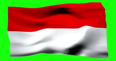 Endonezya 'nın gerçekçi bayrağı. Rüzgarın dalgalı dokusunun tasviri.