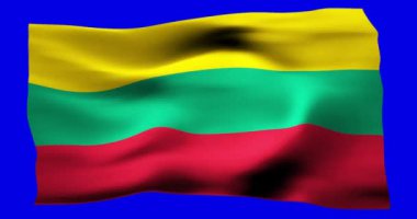Litvanya 'nın gerçekçi bayrağı. Rüzgarın dalgalı dokusunun tasviri.