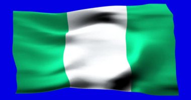 Nijerya 'nın gerçekçi bayrağı. Rüzgarın dalgalı dokusunun tasviri.