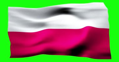 Polonya 'nın gerçekçi bayrağı. Rüzgarın dalgalı dokusunun tasviri.