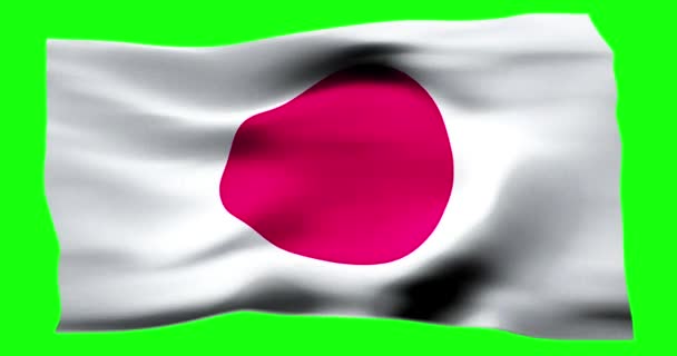 Realistik Mengibarkan Bendera Jepang Ilustrasi Dari Tekstur Bergelombang Angin — Stok Video