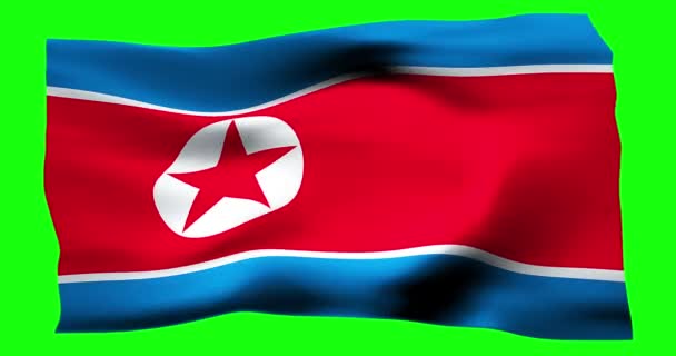 Realistisch Schwenkende Flagge Nordkoreas Illustration Der Wellenförmigen Struktur Des Windes — Stockvideo