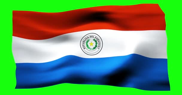 Bandera Realista Ondeando Paraguay Ilustración Textura Ondulada Del Viento — Vídeo de stock