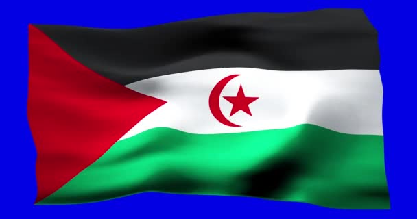 Realistisch Schwenkende Flagge Der Arabischen Demokratischen Republik Sahara Illustration Der — Stockvideo