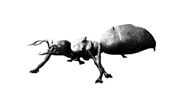 蚂蚁的柱状图 2D动画运动图形 无缝线动画 — 图库视频影像