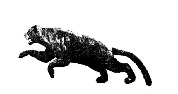 Stipple Drawing Black Panther Running Animation Motion Graphics Seamless Looping — Stock Video