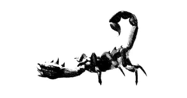 Rysunek Skorpiona Animacja Grafika Ruchu Bezproblemowa Animacja Pętlowa — Wideo stockowe