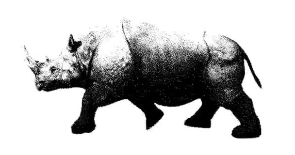 Stipple Dibujo Rinoceronte Animación Gráficos Movimiento Animación Bucle Sin Fisuras — Vídeos de Stock