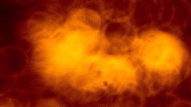 Odaklanamayan sahte ışıklar. Bulanık soyut parıltı dokusu. Arkaplan gece parıldayan altın ışık