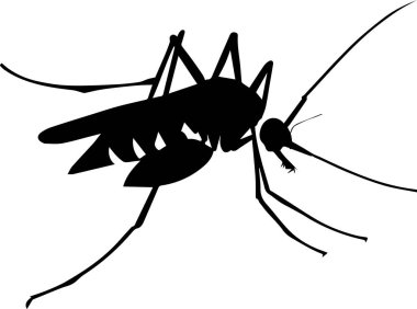 Bir Sivrisinek Vektörü Silueti 2 
