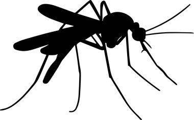 Bir Sivrisinek Vektör Silueti 6