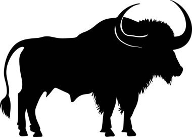 Boğa vektör silueti çizimi