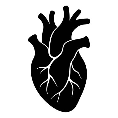 İnsan kalbi organ ikonu. Beyaz arkaplanda izole edilmiş web tasarımı için insan kalbi vektör simgesi ana hatları