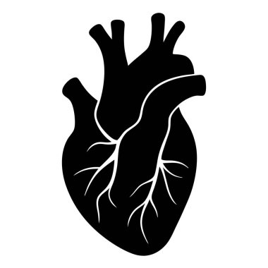 İnsan kalbi ikonu. Beyaz arkaplanda izole edilmiş web tasarımı için insan kalp vektör simgesinin basit çizimi