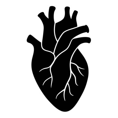 İnsan kalbi anatomisi ikonu. Beyaz arka planda izole edilmiş siyah ve beyaz çizimler. vektörler