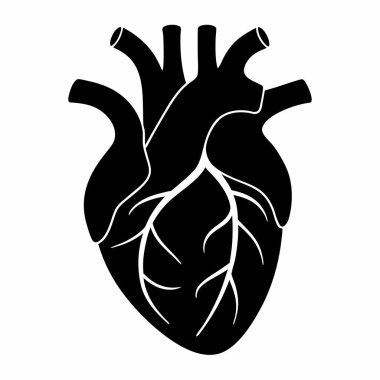 İnsan kalbi anatomi vektör simgesi
